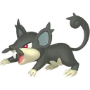 Alolan Rattata