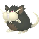 Alolan Raticate