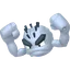 Shadow Alolan Geodude