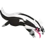 Shadow Galarian Linoone