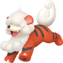 Hisuian Growlithe