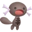 Paldean Wooper