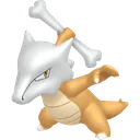 Marowak