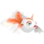 Goldeen