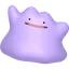 Ditto