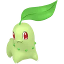 Chikorita