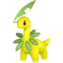 Bayleef