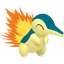 Shadow Cyndaquil