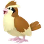 Shadow Pidgey