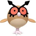 Hoothoot