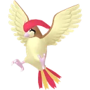 Pidgeotto