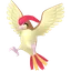 Shadow Pidgeotto