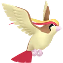 Pidgeot