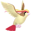 Shadow Pidgeot