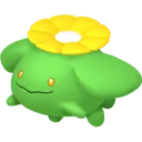 Skiploom