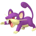 Rattata