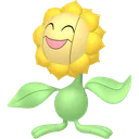 Sunflora