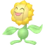 Sunflora