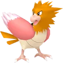 Spearow