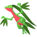 Grovyle