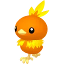 Torchic