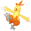 Combusken