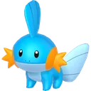 Mudkip
