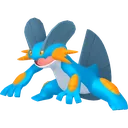 Swampert
