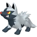 Poochyena
