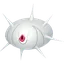 Silcoon