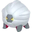 Shadow Shelgon