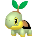 Turtwig