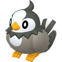 Starly