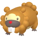 Bidoof