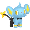 Shinx