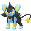 Luxio