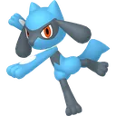 Riolu