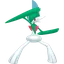 Shadow Gallade