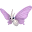 Shadow Venomoth