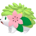 Shaymin