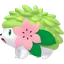 Shaymin