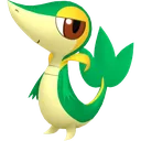 Snivy