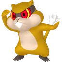 Patrat