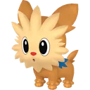 Lillipup