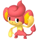 Pansear