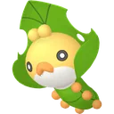 Sewaddle