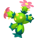 Maractus