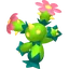 Maractus