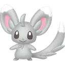 Minccino