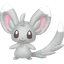 Minccino